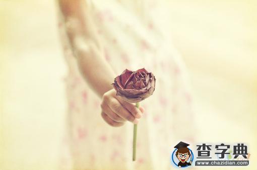 思念恋人的爱情唯美句子1