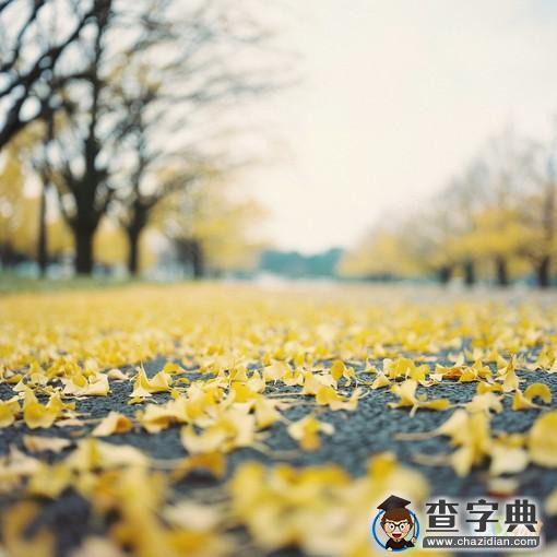 关于爱情的唯美语句摘抄1