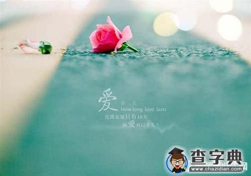 爱情宣言经典语录集锦1